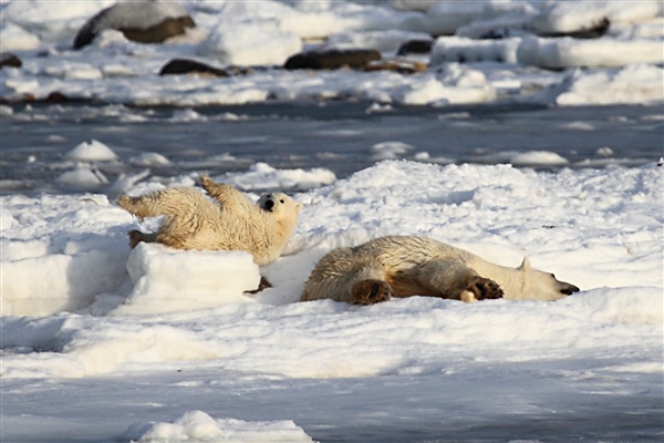 600_Manitoba_Churchill_Polar_Day3_1949_P_only.jpg