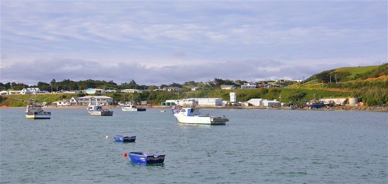 ChathamIs Waitangi 1125 m Harbour