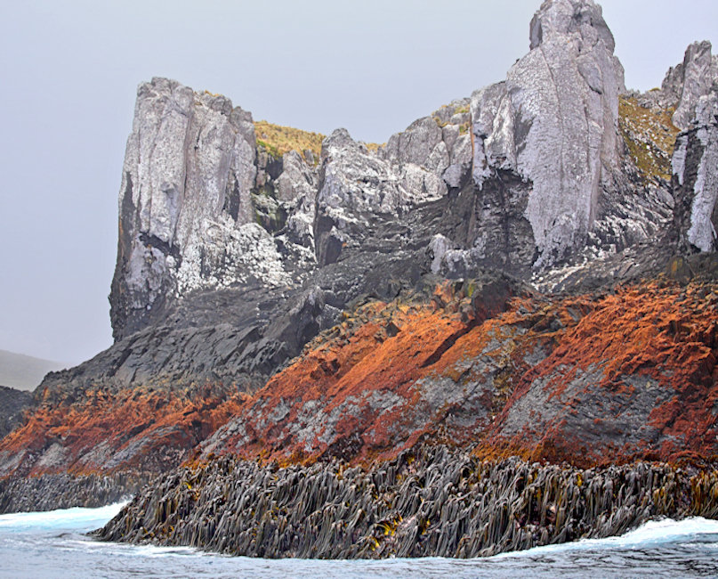 Antipodes Islands, New Zealand