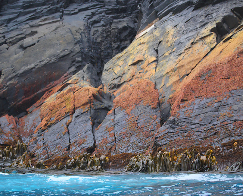 Antipodes Islands, New Zealand - coastal view