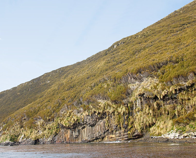 Campbell Island, New Zealand