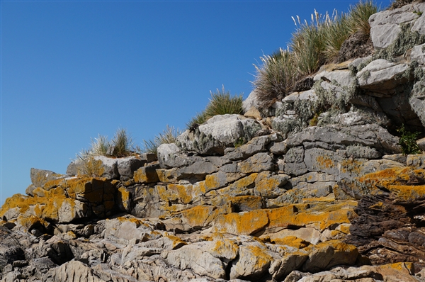 Carcass__Landscape_Rocks_DSC05561.jpg