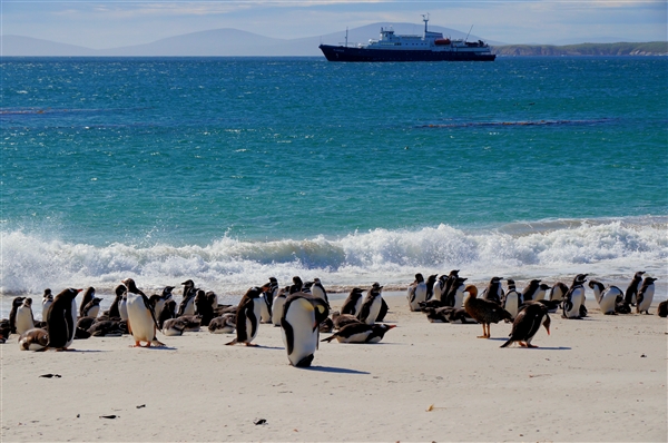 Carcass__Landscape_ShoreShip_DSC05543.jpg