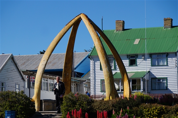 Stanley__Landscape_Whalebone+_DSC05780.jpg