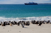 Carcass__Landscape_ShoreShip_DSC05543