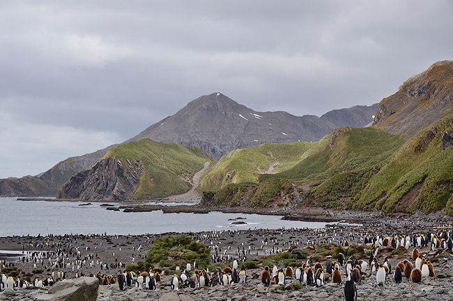 RightWhaleBay_View_DSC06753.jpg