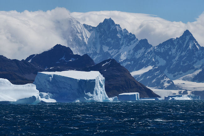 SouthGeorgia_iceberg_DSC06583.JPG