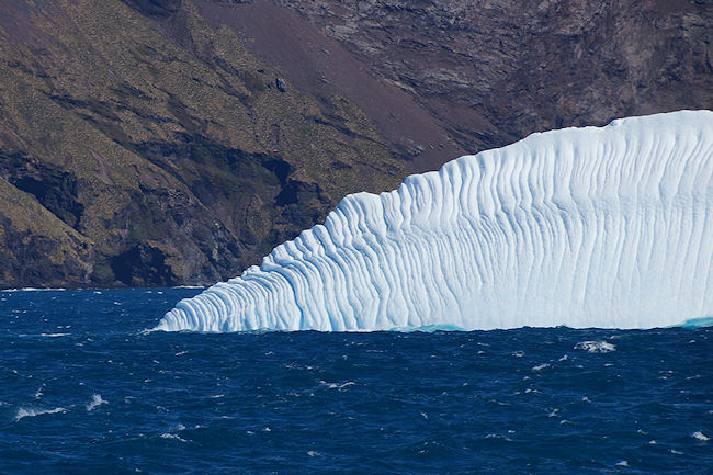 SouthGeorgia_iceberg_DSC06591.JPG