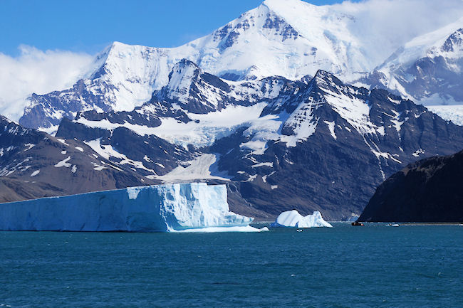 SouthGeorgia_iceberg_DSC06624.JPG