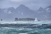 SouthGeorgia_FirstViews_DSC05910