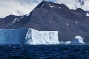 SouthGeorgia_iceberg_DSC06563