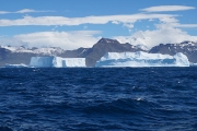 SouthGeorgia_iceberg_DSC06566