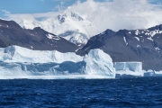 SouthGeorgia_iceberg_DSC06569