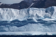 SouthGeorgia_iceberg_DSC06570