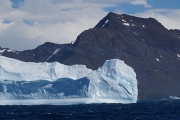 SouthGeorgia_iceberg_DSC06571
