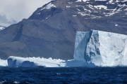 SouthGeorgia_iceberg_DSC06572