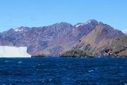 SouthGeorgia_iceberg_DSC06593