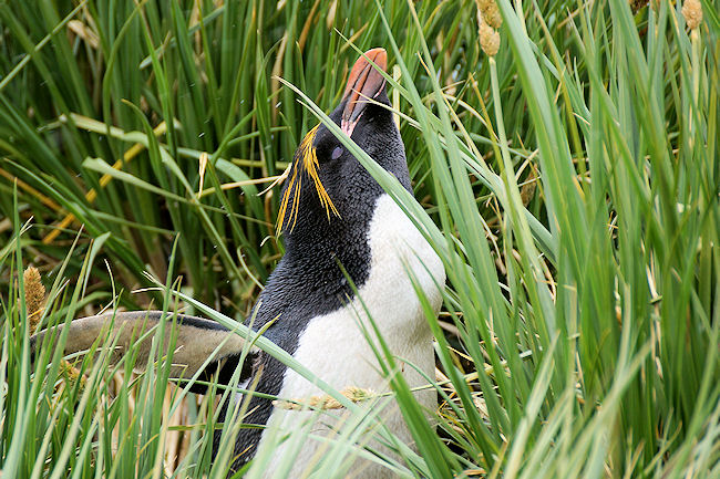 CooperBay_DSC06852.JPG