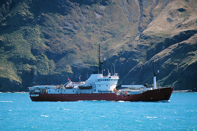 Grytviken_DSC06609.JPG