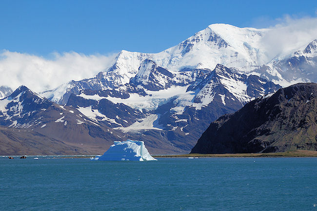 Grytviken_DSC06631.JPG