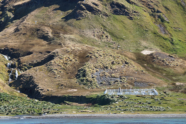 Grytviken_DSC06639.JPG