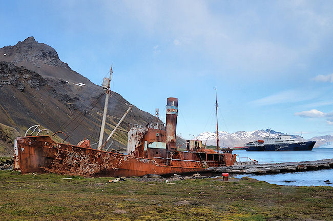 Grytviken_DSC06684.JPG