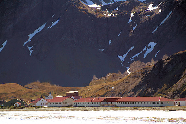 SGeorgia_Day8_Grytviken_5242.jpg