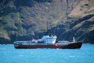 Grytviken_DSC06609