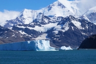 Grytviken_DSC06624