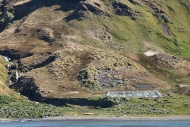 Grytviken_DSC06639