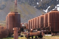 Grytviken_DSC06672