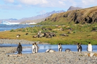 SGeorgia_Day8_Grytviken_5244