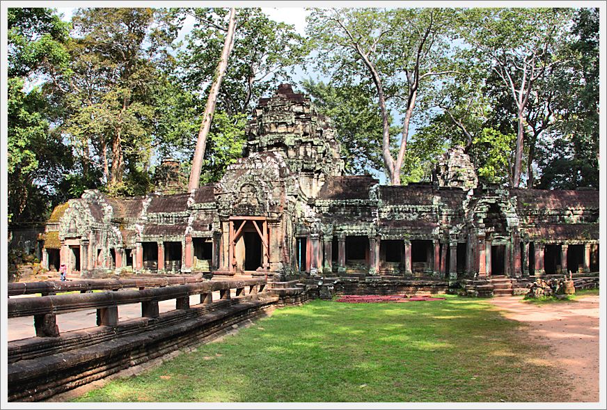 Cambodia_TaProhmTemple_3818_3_m