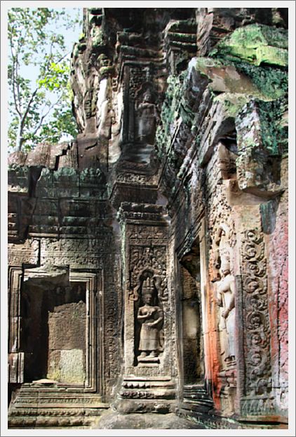 Cambodia_TaProhmTemple_8452_m