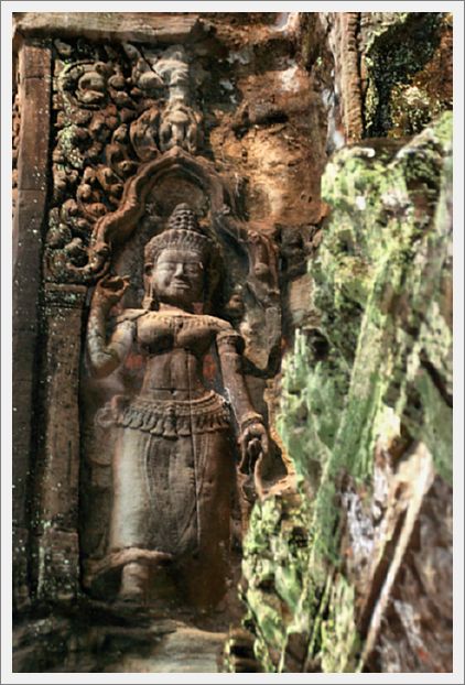 Cambodia_TaProhmTemple_8453_3_m