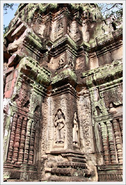 Cambodia_TaProhmTemple_8462_m