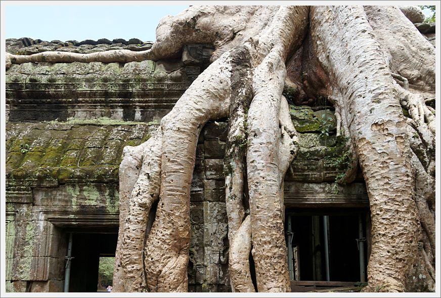 TaProhmTemple_DSC02634