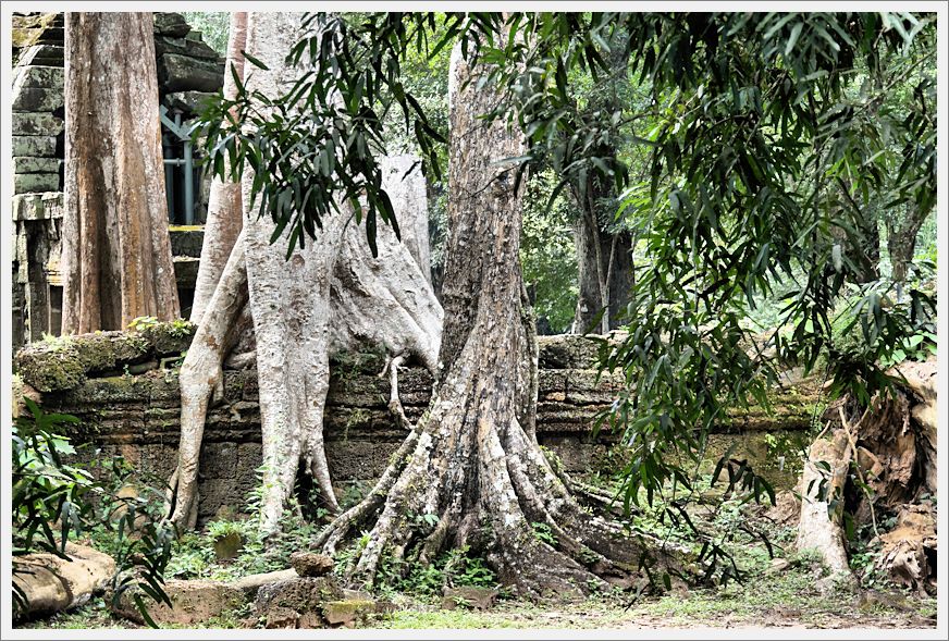 TaProhmTemple_DSC02637