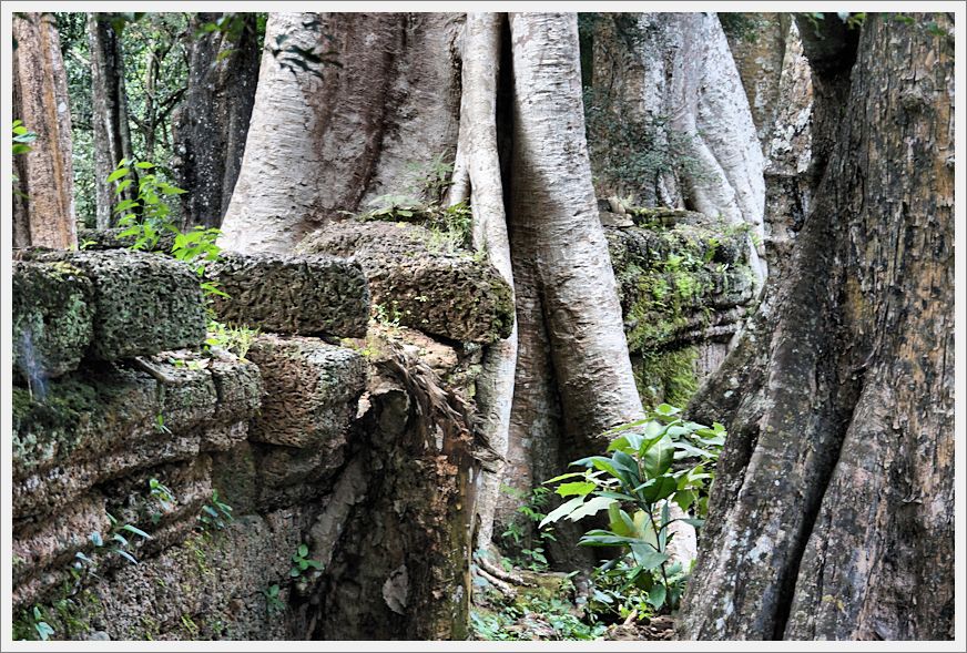 TaProhmTemple_DSC02641