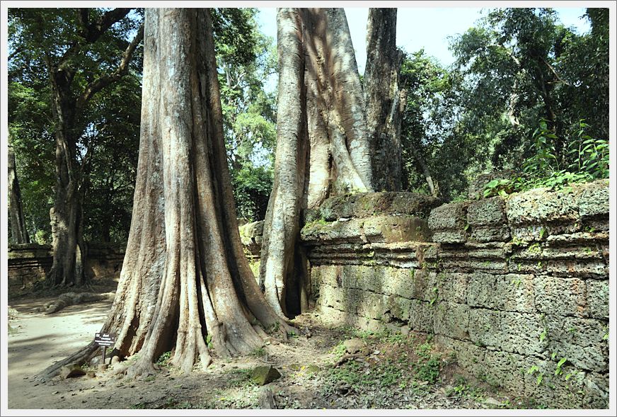 TaProhmTemple_DSC02649