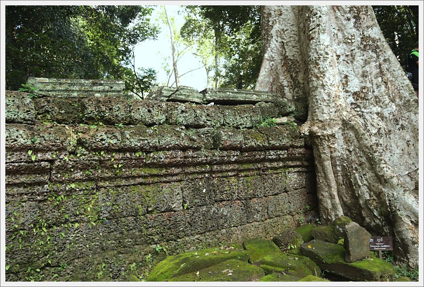 TaProhmTemple_DSC02651