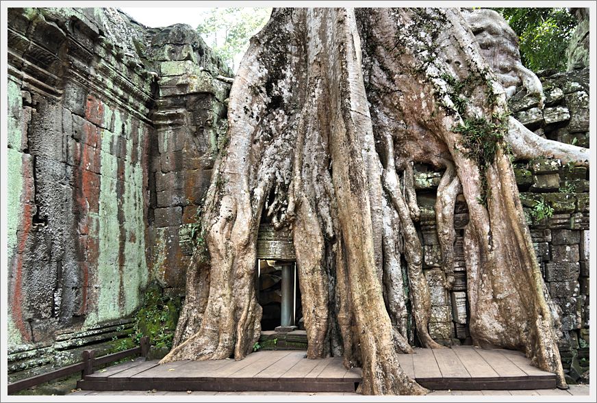 TaProhmTemple_DSC02661