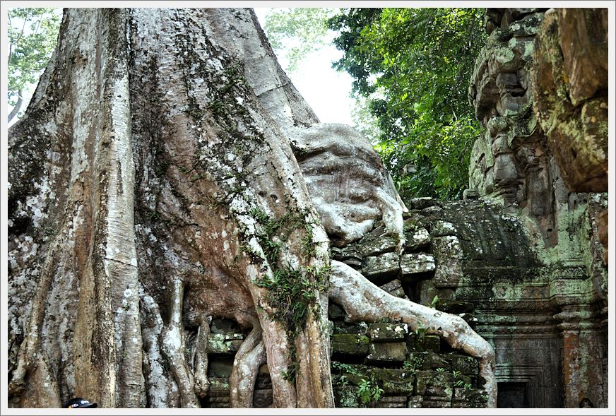 TaProhmTemple_DSC02662