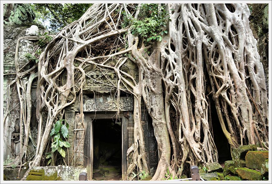 TaProhmTemple_DSC02676