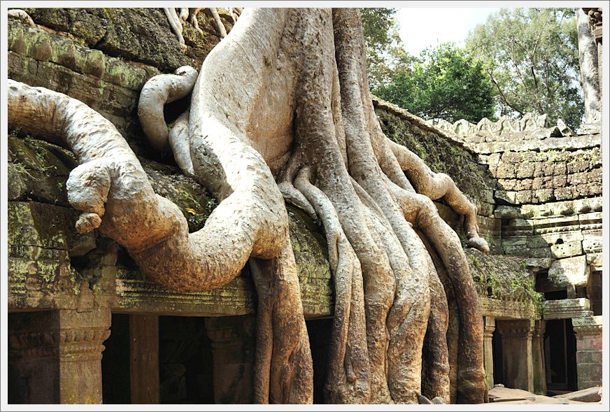 TaProhmTemple_DSC02692