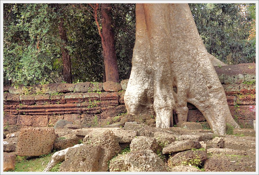 TaProhmTemple_DSC02722