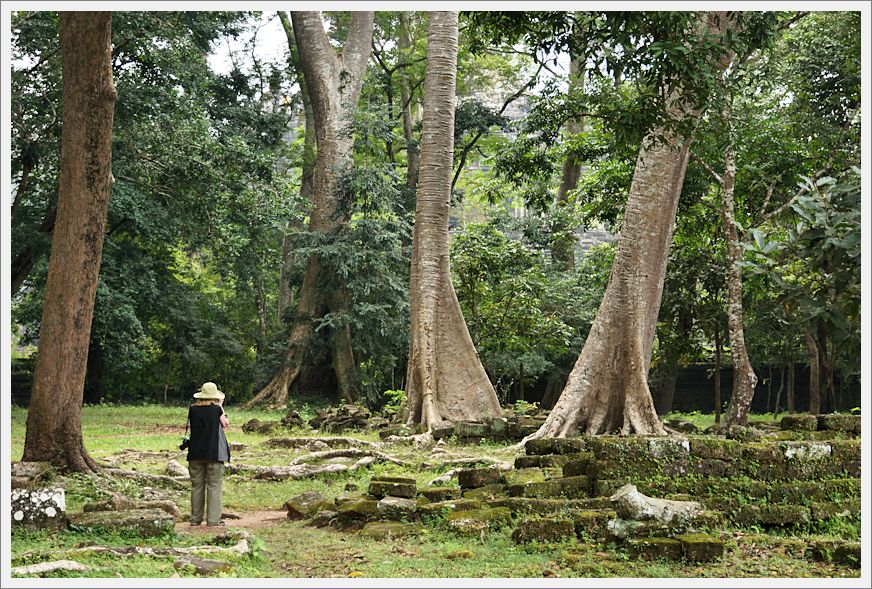 TaProhm_DSC02482