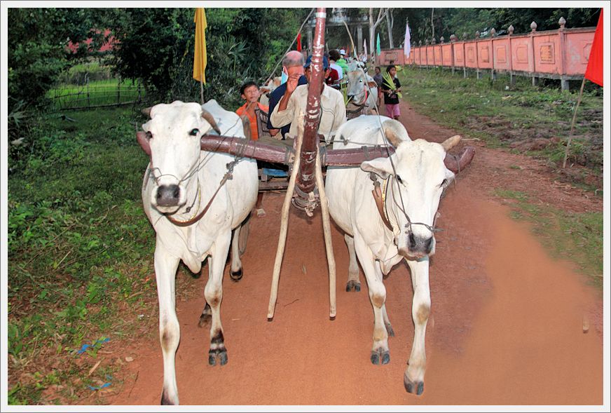 MekongCruise_Cam_Wagon_7675