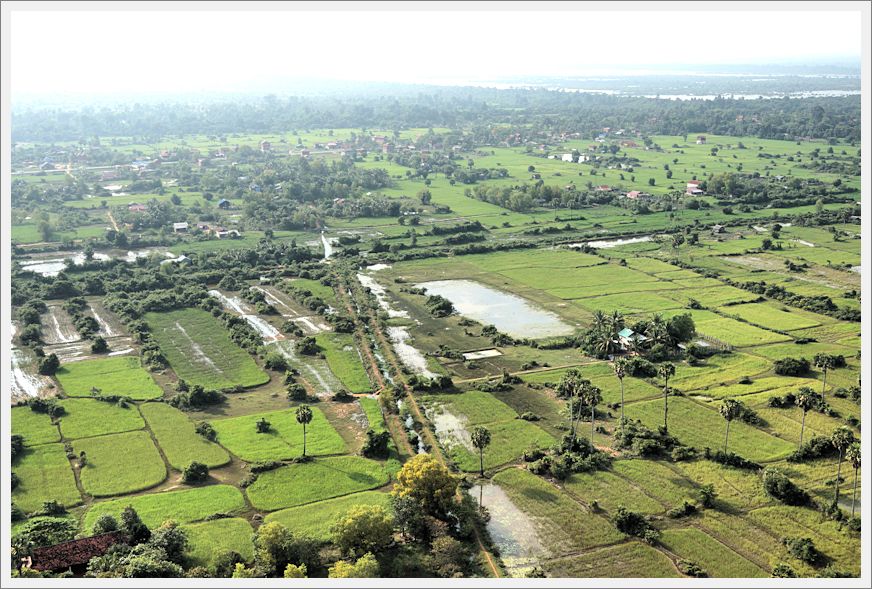 AngkorRiceFields_DSC02748