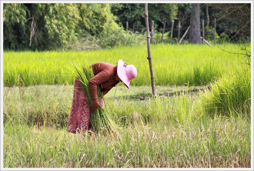 Cambodia_SiemReap_VillageLife_8616